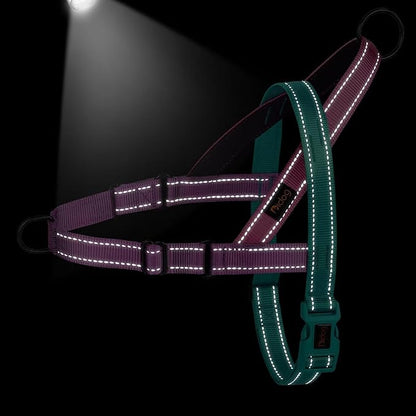 Didog No Pull Dog Harness with Soft Padded Handle, Quick Fit & Lightweight Adjustable Vest Harness, Easy for Training Walking for Small & Medium and Large Dogs(Dark Green,M)