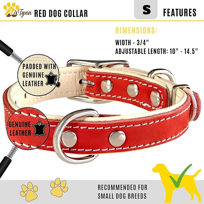 ADITYNA Heavy-Duty Leather Dog Collar for Small Dogs - Soft Padded for Comfort - Small Dog Collar for Walking, Training, and Hiking
