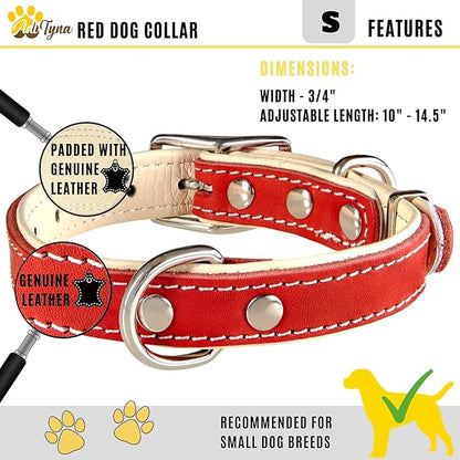 ADITYNA Heavy-Duty Leather Dog Collar for Small Dogs - Soft Padded for Comfort - Small Dog Collar for Walking, Training, and Hiking