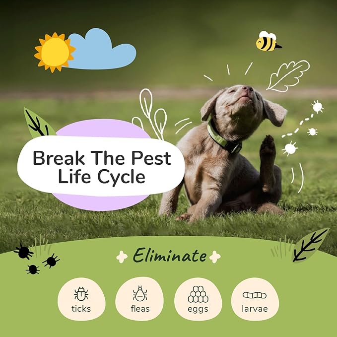 kin+kind Dog Shampoo Flea and Tick Vet Formulated - Natural Flea and Tick Prevention for Dogs - Plant Powered Shampoo w/Coconut & Olive Oil - Dog Supplies - Lavender Scent - Made in USA 12 fl oz