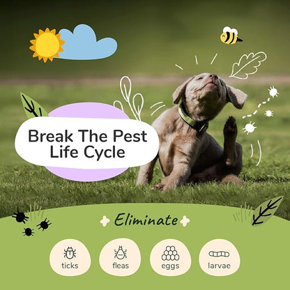 kin+kind Dog Shampoo Flea and Tick Vet Formulated - Natural Flea and Tick Prevention for Dogs - Plant Powered Shampoo w/Coconut & Olive Oil - Dog Supplies - Lavender Scent - Made in USA 12 fl oz