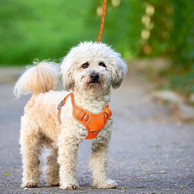 BARKBAY No Pull Dog Harness Large Reflective Dog Harness with Front Clip and Easy Control Handle for Walking Training Running with ID tag Pocket(Orange,XS)