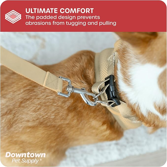 Downtown Pet Supply Step in Dog Harness for Teacup Dogs & Cats No Pull, XX-Small, Khaki - Adjustable Harness with Padded Mesh Fabric and Reflective Trim - Buckle Strap Harness for Dogs