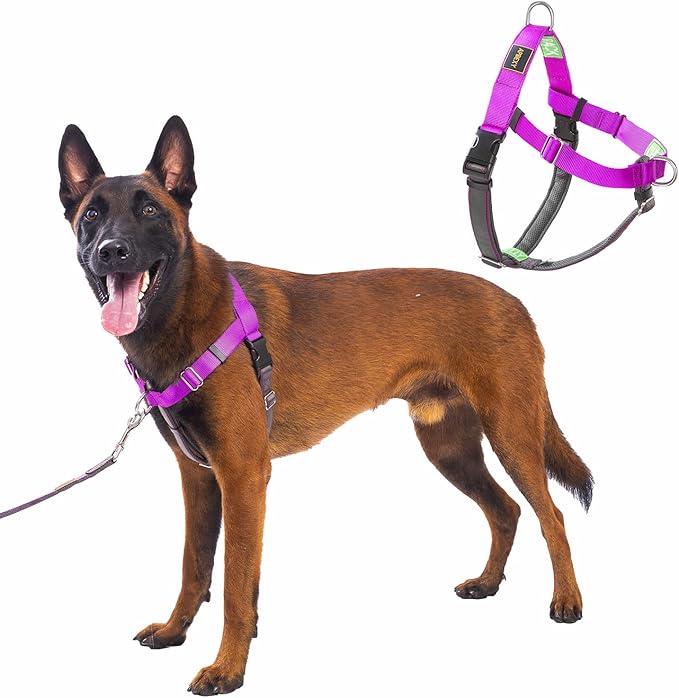 Freedom No Pull Dog Harness for Large Dogs, Easy Walker, Anti Pull with Two Stainless D-Rings, Comfortable, Sewn-in Instructions Tags for Easy Use (Purple, XL)