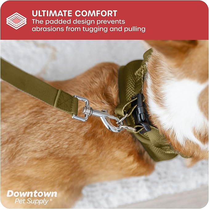 Downtown Pet Supply Step-in Dog Harness – No Pull, Adjustable Padded Mesh with Reflective Trim, Secure Buckle Strap – Comfortable & Breathable Small Dog Harness, Small, Hunter Green