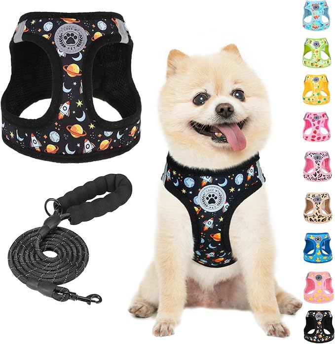 BEAUTYZOO Dog Harness Small Sized and Leash Set, Step-in Soft Padded Mesh Puppy Vest, Reflective Dog Harness No Pull No Choke, Breathable Easy Walking Vest Harnesses for Girl Boy Pets, Black Planet S
