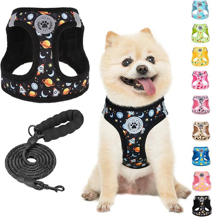 BEAUTYZOO Dog Harness Small Sized and Leash Set, Step-in Soft Padded Mesh Puppy Vest, Reflective Dog Harness No Pull No Choke, Breathable Easy Walking Vest Harnesses for Girl Boy Pets, Black Planet XS