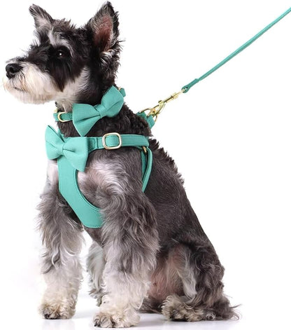 Beirui Adorable Small Dog Harness Collar Leash Set,Cute Puppy Harness with 3 Bows for XS Dogs,Yorkie,Adjustable Step-in Vest for Walking,Parties&Holiday Outfits(Teal,XS)