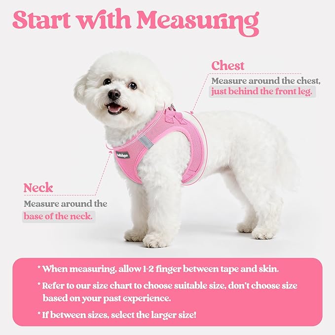 rabbitgoo Dog Harness Small Medium Sized and Leash Set, Step in Soft Light Puppy Vest, Breathable Mesh Pet Harness, Reflective for Safe Easy Walking, Light Pink XL