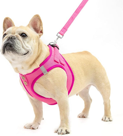 PUPTECK Dog Harness and Leash Set for Small Medium Dogs No Pull Step-in Soft Mesh Puppy Cat Vest Harnesses Reflective at Night, Denim Pink L
