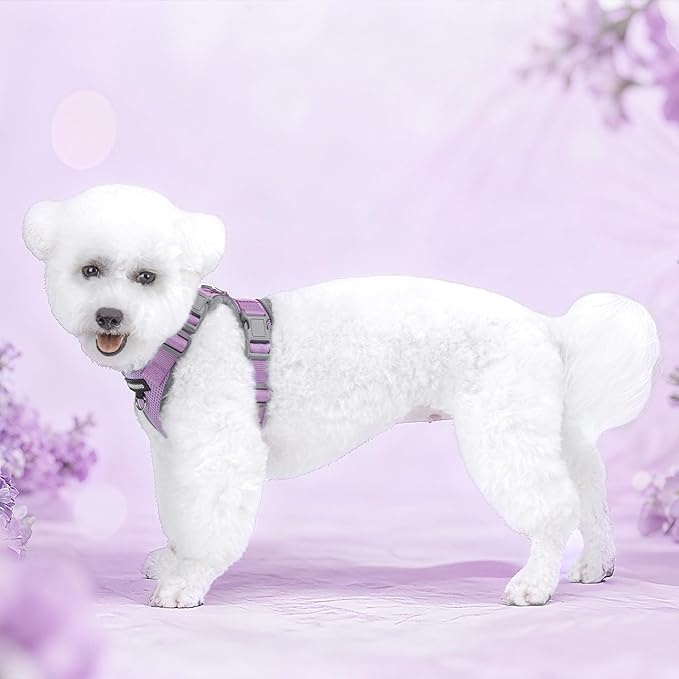 Small Dog Harness and Leash Set，No Pull Adjustable Pet Harness for Small Dogs ，Breathable Mesh Reflective Dog Vest Harness (Light Purple, M)