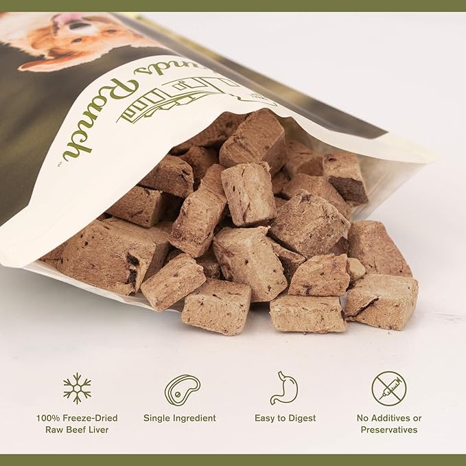 BADLANDS RANCH by Katherine Heigl – Superfood Bite Freeze-Dried Raw Beef Liver Dog Treats – High Protein Single-Ingredient Snacks for Training, Rewards & Daily Wellness