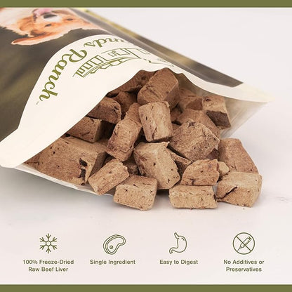 BADLANDS RANCH by Katherine Heigl – Superfood Bite Freeze-Dried Raw Beef Liver Dog Treats – High Protein Single-Ingredient Snacks for Training, Rewards & Daily Wellness