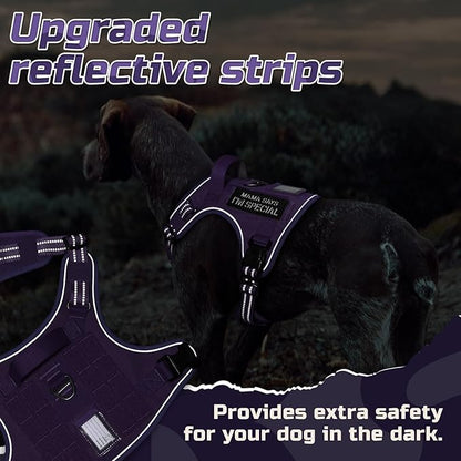 rabbitgoo Tactical Dog Harness Medium Sized Dog, No Pull Military Service Vest with Handle & Molle, Easy Control for Training Walking, Adjustable Reflective Straps, Purple, M
