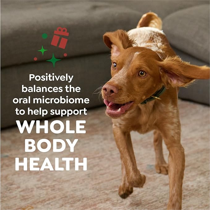 Greenies Veterinarian-Recommended, Limited-Edition Natural Dental Dog Treats Large Size, Gingerbread Flavor, 6 oz. Pack, 4 Count