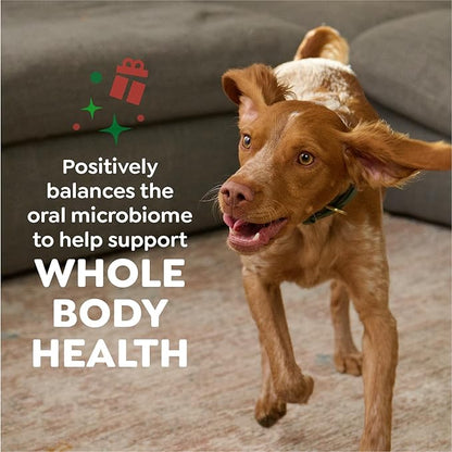 Greenies Veterinarian-Recommended, Limited-Edition Natural Dental Dog Treats Large Size, Gingerbread Flavor, 6 oz. Pack, 4 Count