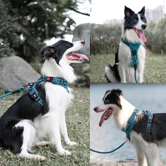 PoyPet No Pull Dog Harness and 5 Feet Leash Set, Release on Neck Reflective Adjustable Pet Vest, Front & Back 2 D-Ring and Soft Padded Pet Harness with Handle for Small to Large Dogs(Tumalo Teal,L)