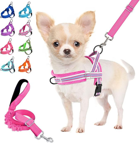 Lukovee No Pull Dog Harness and Leash Set, Soft Padded Small Dog Harness, Neck & Chest Adjustable Reflective Vest Puppy Harness with 4ft Lightweight Anti-Twist Dog Leash for Small Dogs (M, Fuschia)