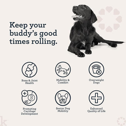 Kradle Hip & Joint Chews for Dogs - Glucosamine Chondroitin MSM Turmeric - Mobility Support for Large & Small Dogs - 75 Soft Chews + 4oz Spray