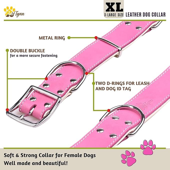 ADITYNA Heavy-Duty Pink Leather Dog Collar for Extra-Large Dogs - Soft Padded for Comfort - Big Girl Dog Collar for Walking, Training, and Hiking