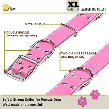 ADITYNA Heavy-Duty Pink Leather Dog Collar for Extra-Large Dogs - Soft Padded for Comfort - Big Girl Dog Collar for Walking, Training, and Hiking