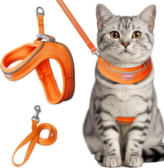 Cat Harness and Leash Set,Escape Proof Kitten Harness,Step in Adjustable Soft Lightweight,Easy Control,Reflective Strips Comfortable for Walking Travel(Orange,XXXS)