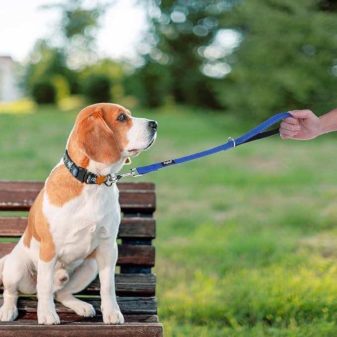 PUPTECK Reflective Dog Leash with Comfortable Padded Handle Durable Nylon Dog Lead for Small Medium and Large Dogs Cats Walking Running Training Outside, Blue