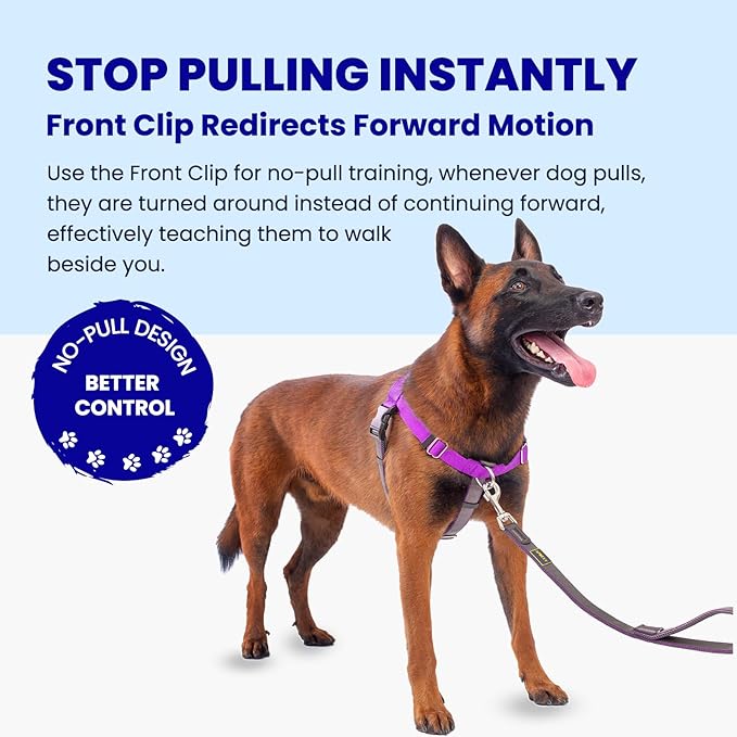 Freedom No Pull Dog Harness for Large Dogs, Easy Walker, Anti Pull with Two Stainless D-Rings, Comfortable, Sewn-in Instructions Tags for Easy Use (Purple, XL)