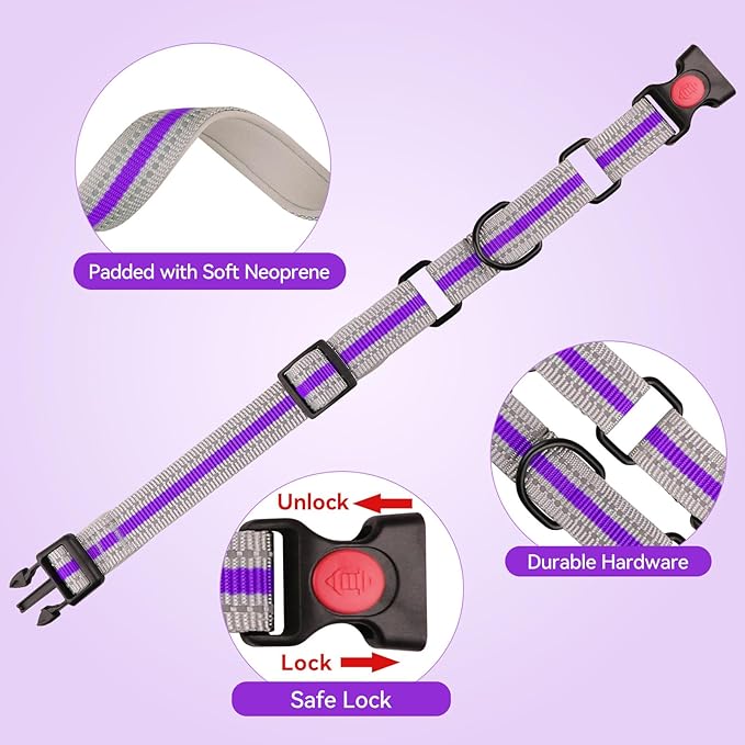Martingale Collar for Dogs,Soft Neoprene Padded Reflective Martingale Collar and Leash Set Safety Buckle Nylon Martingale Collar for Puppy(Purple&XS)