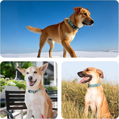 Dog Collar for Large Dogs - Adjustable, Chew Proof Nylon Collar with Metal Quick Release Buckle and D-Ring for Dog Tags (Florida Seaside, L(1''Width, Fit 14''-20''))