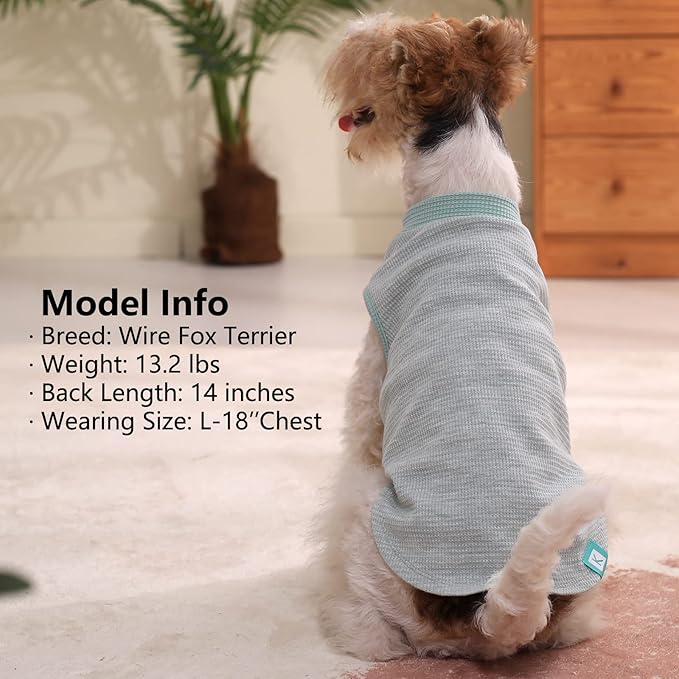 KYEESE 2Pack Dog Shirts Waffle for Small Dogs Stretchy Pet T-Shirts Lightweight Dog Tank Top Sleeveless Dogs Vest Breathable, Large, Green+Grey