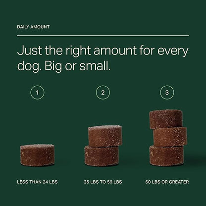 Longevity+ Dog Health Supplement - Dog Vitamins and Supplements for Joint, Muscle, Immune, and Cognitive Health - Vet-Formulated and Made in The USA - for Small Dogs 24 lbs or Less - 30 Day Supply