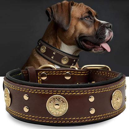 Leather Dog Collar, 2 inches Wide Heavy Duty Genuine Leather Collars, Handmade, Soft, and Luxury, Eye-catching Best Choice for Large and Medium Breed Dogs Brown-Gold, 21-25 inches