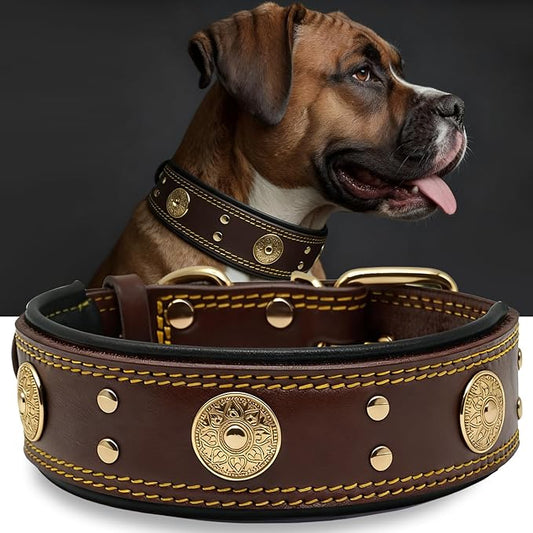 Leather Dog Collar, 2 inches Wide Heavy Duty Genuine Leather Collars, Handmade, Soft, and Luxury, Eye-catching Best Choice for Large and Medium Breed Dogs Brown-Gold, 21-25 inches