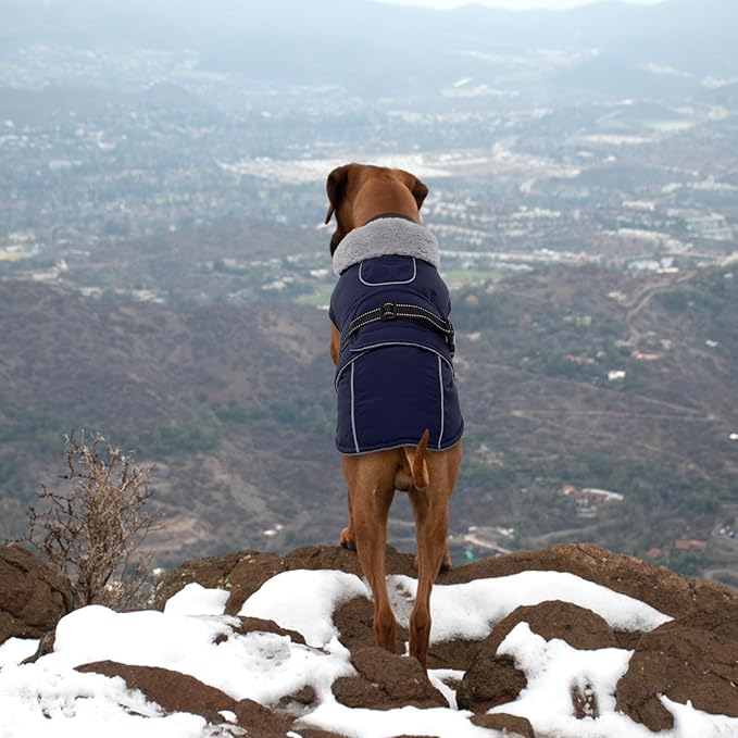 Lelepet Warm Dog Coat Waterproof Dog Jacket for Medium Dogs Reflective Fleece Vest with Adjustable Buckle Hook & Loop Windproof Cold Weather Coats for Small Medium Large Dogs, Navy Blue, M