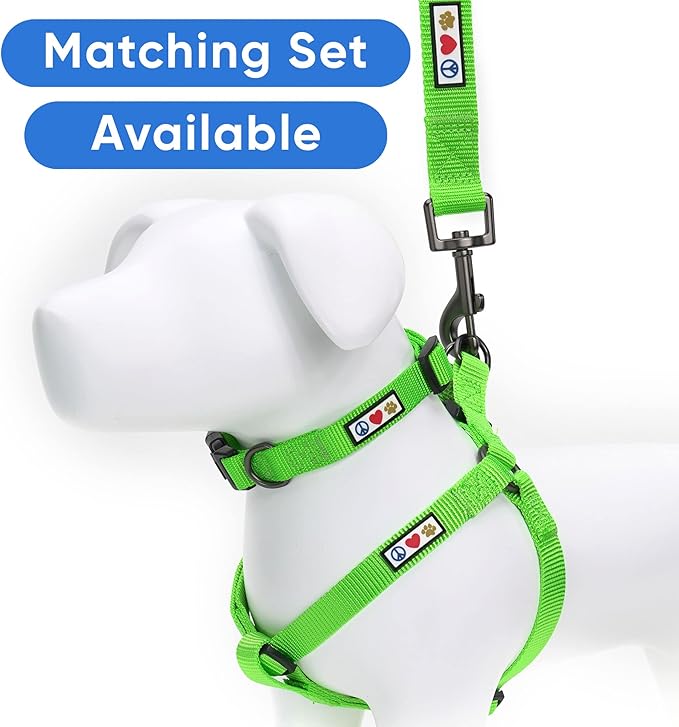 Pawtitas Solid 6 ft Green Dog Leash XS/S Custom Name and Phone Embroidery Strong Nylon Leash for Small Breeds