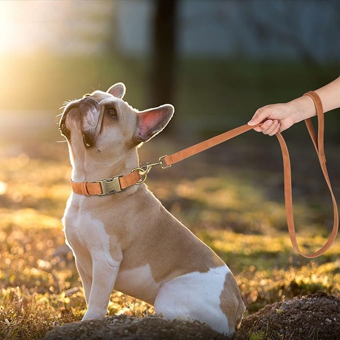 Didog PU Leather Dog Leash, Colorful Dog Leash 4ft, Strong and Durable Faux Leather Lead, Walking and Training Lead for Small Medium Dogs,Light Brown