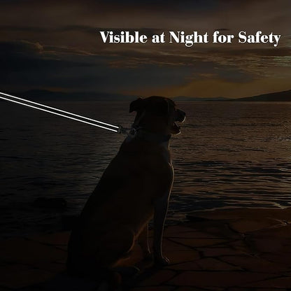 PetiFine 5FT Heavy Duty Dog Leash with Soft Padded Double Handle, Durable Strong Clasp Dog Leashes, Reflective Nylon Walking Lead for Large,Medium,Small Breed Dogs, Black