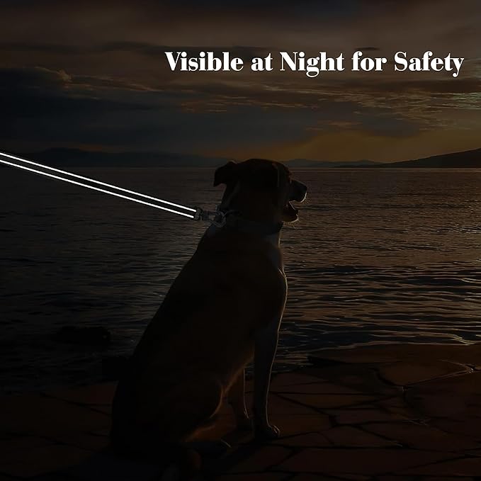 PetiFine 6FT Heavy Duty Dog Leash with Soft Padded Double Handle, Durable Strong Clasp Dog Leashes, Reflective Nylon Walking Lead for Large,Medium,Small Breed Dogs, Grey