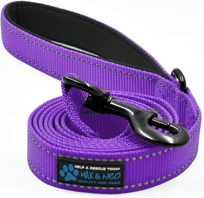 Max and Neo Reflective Nylon Dog Leash - Purple, 4 Feet