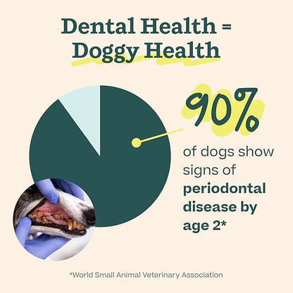 Woof Doggy Dental Pupsicle Mix - Dog Teeth Cleaning Powder for The Pupsicle - Long Lasting Postbiotic Dental Enzyme Mix to Support Oral Health for Dogs