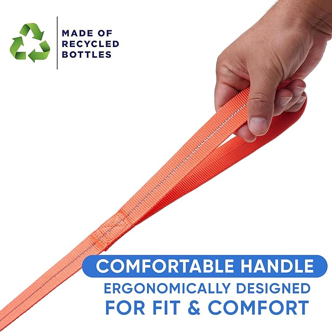 Pawtitas Coral Dog Leash 6 ft M/L Reflective Durable Lightweight Recycled Lead for Medium or Large Dogs and Puppies