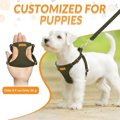 SlowTon Dog Harness Small Sized Dog - Soft XXS Dog Harness and Leash Set No Pull No Chock, Adjustable Lightweight Puppy Harness for XS Small Medium Dogs Cats (Solid Military Green, M)
