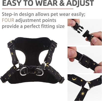 PUPTECK Dog Harness and Leash Set Small Sized, Step in No Pull Adjustable Puppy Cat Harness Reflective Pet Vest