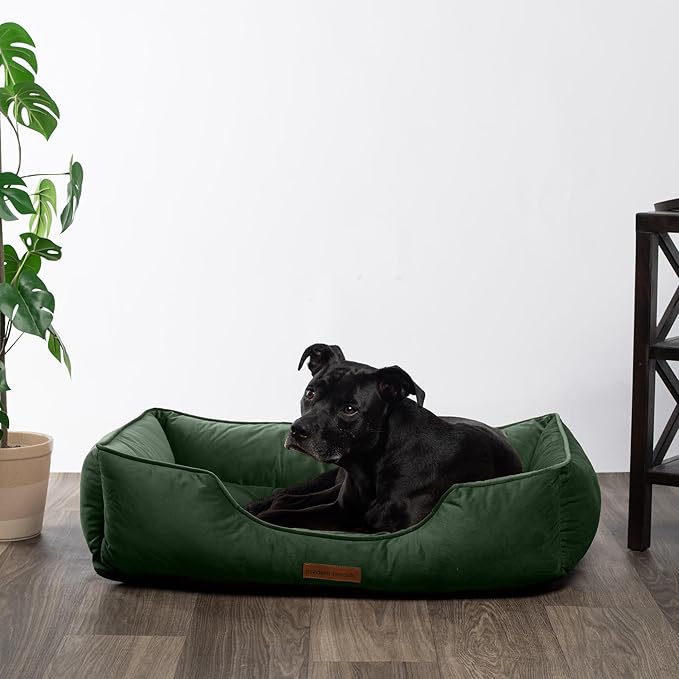 Modern Threads Luxury Dog Bed - Comfortable Tufted Velvet Cushion for Small to Large Dogs - Machine Washable - Durable & Cute Sleep Space for Pets - Pamper Your Pet with Cozy Beds - Forest Green