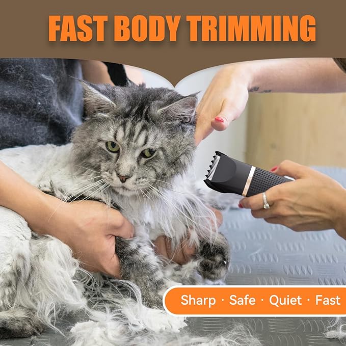 Bautrium Cat Grooming Clippers Kit with Paw Trimmer, 3 in 1 Electric Pet Hair Trimmer Supplies for Thick Matted Hair, Heavy Coat Butt Shaver Cat Razor Fur Trimmer for Dogs at Home (Black)