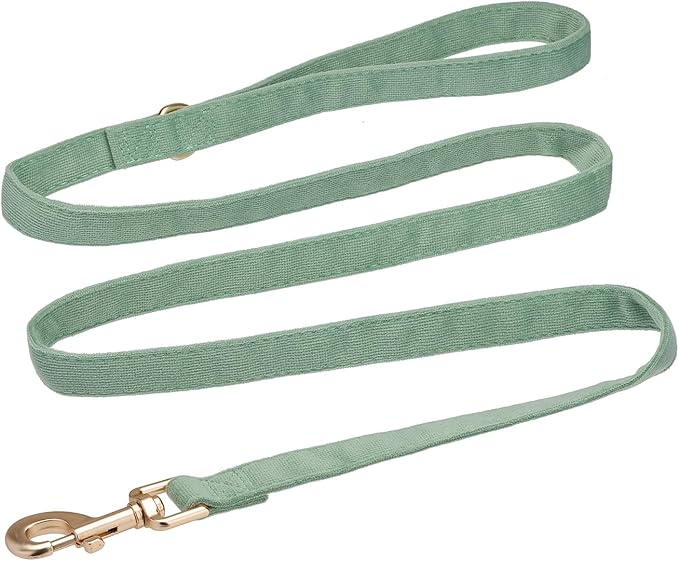 Ewinoom Soft Corduroy Dog Collar and Leash Set Adjustable Durable Dog Collars with Metal Buckle and Lead for Small Dogs,Grass Green