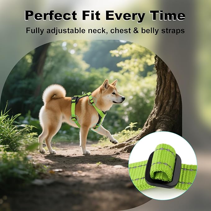 Plutus Pet Adjustable No Pull Dog Harness with Leather Accents, Heavy Duty Reflective Nylon Vest for Training, Hiking, Easy Walk Harness for Small, Medium, Large Dogs (Green, S)