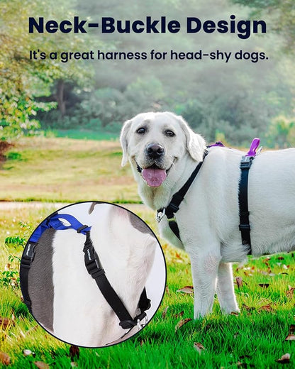 Non-Restrictive Dog Harness, Easy Walk Freedom No Pull Harness, Keep Balance, Neck-Buckle, Six Points Adjustment, 2 Leash Clips for Back and Front Clip (Orange/Black, X-Large)