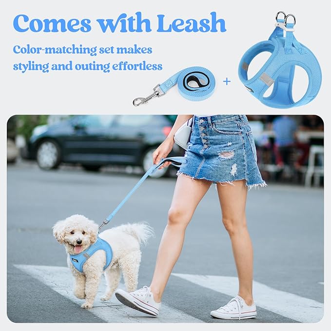 rabbitgoo Dog Harness Small Sized and Leash Set, Step in Soft Light Puppy Vest, Breathable Mesh Pet Harness, Reflective for Safe Easy Walking, Blue S